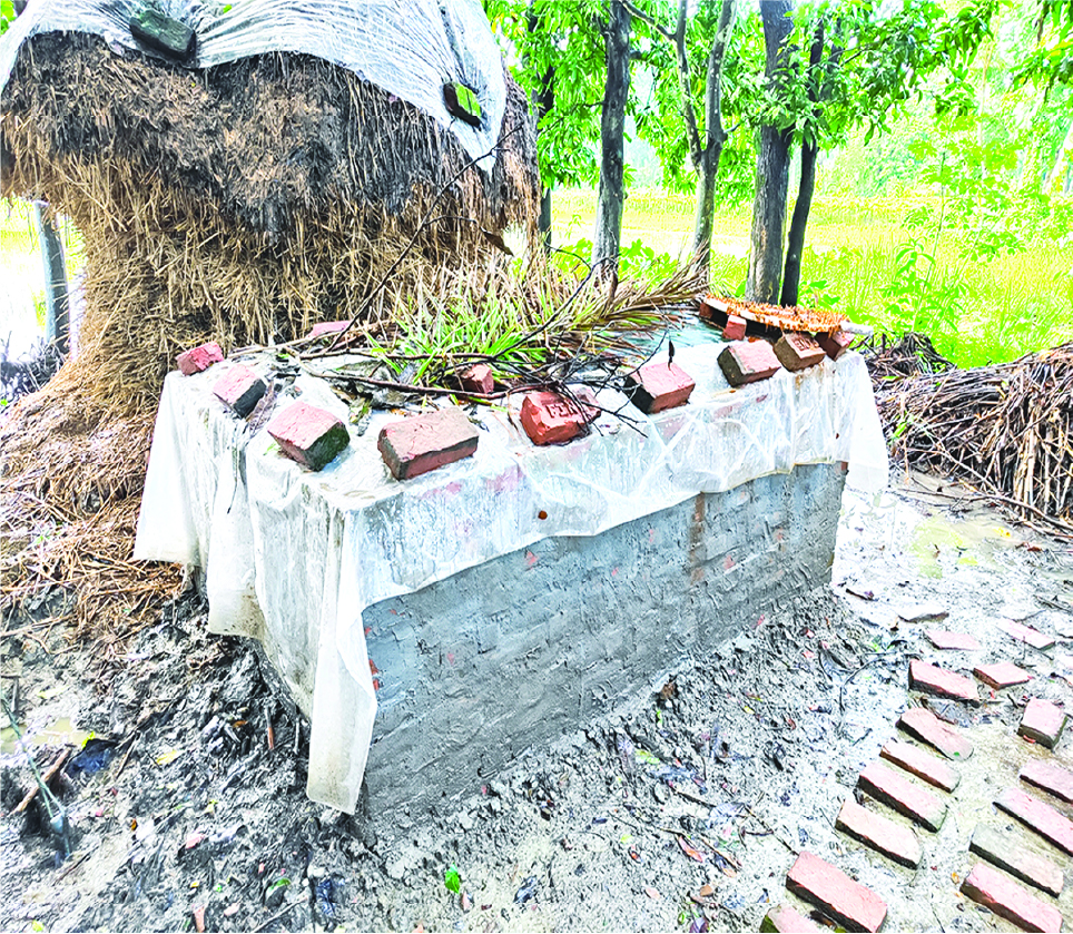 Image of মো: রাকিব হোসাইন